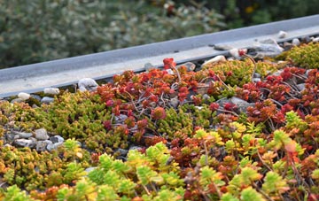 the cost of Crew green roof installation