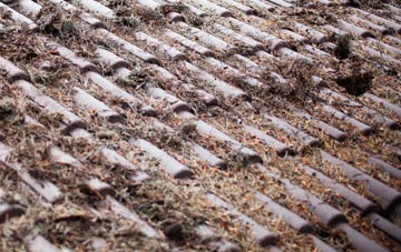 Crew roof cleaning companies