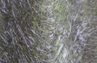 Crew fibreglass roof work